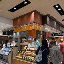 6701 | 도쿄역 에키벤 신칸센 도시락 맛집 다키모토