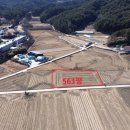 노음초등학교 이미지