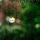 스마트비 이미지