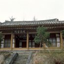 김천꼬마김밥 이미지