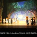 가족발레뮤지컬 네이버블로그