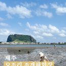 오조리-5 이미지