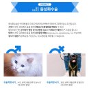 둘리동물병원 이미지