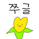 디마레 풀빌라 이미지