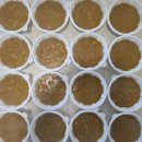 GS25 현곡푸르지오점 | 7사랑반찬봉사회 오늘의 반찬 나눔 이야기