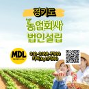 엘디팜영농조합법인 제2농장 | [경기도/2026] 농업법인 설립 가이드: 영농조합 vs 농업회사, 우리 농장에 맞는 선택은?