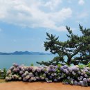 수국칼국수 이미지