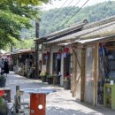 엽이오락실 이미지