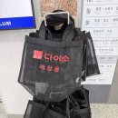 [🛒 다이소] 명동역점 12층 규모 다이소 구경 후기 | 야구부터 토마토 거북이, 심리스 브라까지