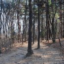 매봉6길 이미지