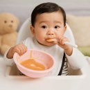 단계로 | 이유식 단계별 영양 관리 방법 (초기, 중기, 후기)