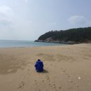 이엘관광농원 이미지