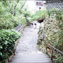 시랑대비빔밥 이미지