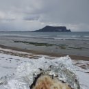 아쿠아싸우나 | 8박 9일 제주도 여행기 - 2일차 _2025.02.06