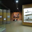 서대문자연사박물관 이미지