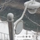 눈이빛나다