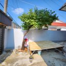 남중동-56 이미지