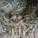 민우농장 이미지