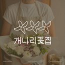 개나리꽃집 이미지