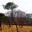 햇살마당