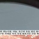 갑을농원 이은호 유황오리 유황오리양엿 - JTBC 오감도 56회 출연분 (2014.09.19) (2/2) 오감도-JTBC / 방송출연 이미지