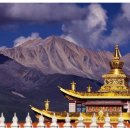 짱족의발전 이미지