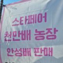 천만농장2 이미지