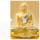 대왕의료기 이미지