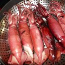 주문진산오징어 이미지