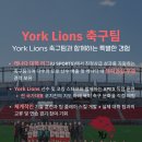 캐나다 YORK 대학 어학연수 &amp; 축구 프로그램 feat. 토론토 한달살기 프로그램 이미지