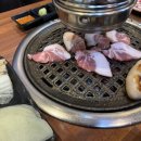 꼬기이야기 이미지