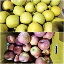 신효월라봉영농조합법인 | {대구시 북구} 북대구농산물도매시장//농산물경매시장의 선두 주자 대구중앙청과