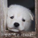 16 이미지