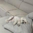 거니는집 이미지