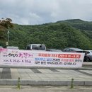 다리안민박 이미지