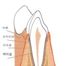 아프리카 동물병원 이미지
