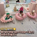 키즈아이조아어린이집 | 청주 실내 키즈풀 대관 아이조아풀 조아룸 후기💕아기 모임 하기 좋은 곳