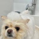 방이 부대 이미지