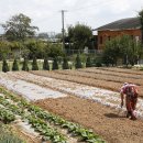 수곡1구 이미지