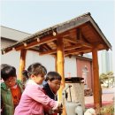 신자병설유치원 이미지