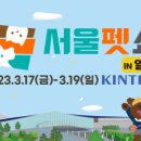 몽몽드림 이미지