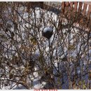 놀부농장 이미지