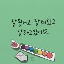 일광사진관 이미지