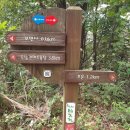 동남해농협하나로마트삼동점