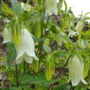 성실농장 이미지