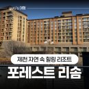 제천 포레스트리솜 1박2일 가족여행 후기｜G50 객실 & 별똥카페 & 해브나인 스파 솔직리뷰