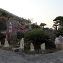 매화랜드 이미지