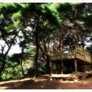 아람나무유치원 이미지