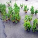 박종상농장 이미지