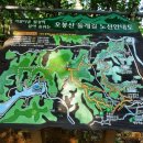 오봉산 맨발 등산로 이미지